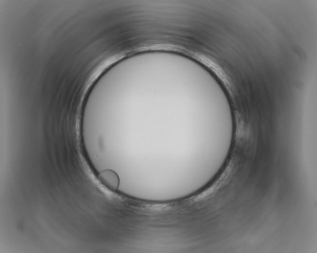 X0000110971282200906191103