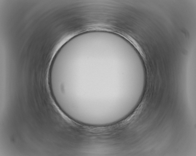 X0000110971285200906191103