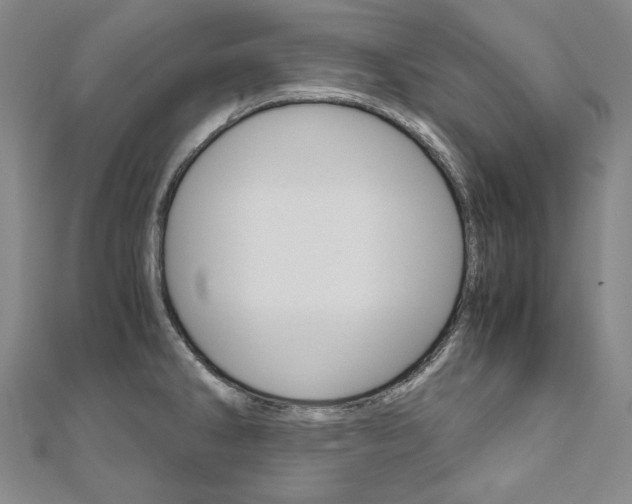 X0000110971286200906191103