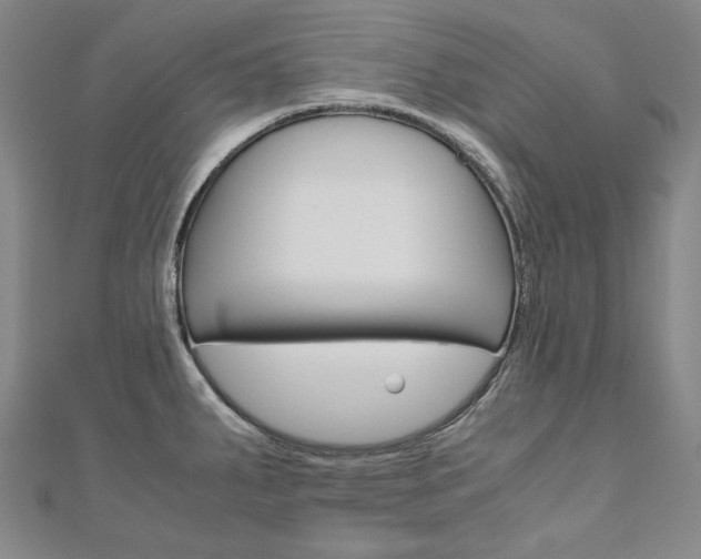 X0000110971287200906191103