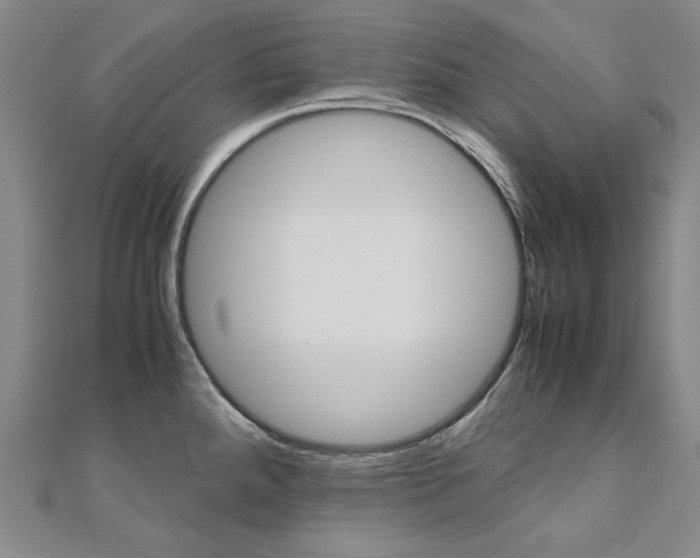 X0000110971288200906191103