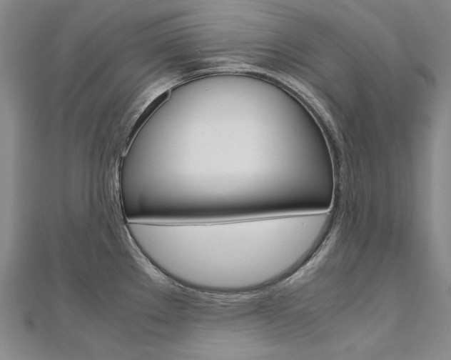 X0000110971289200906191103