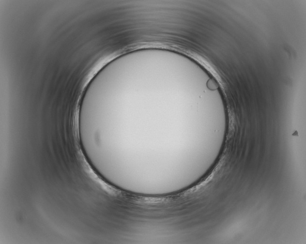X0000110971290200906191103