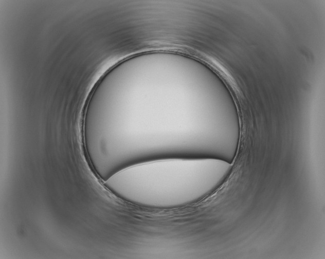 X0000110971291200906191103