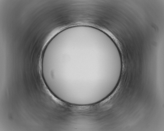X0000110971294200906191103