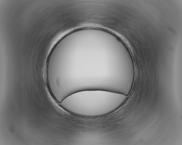 X0000110971295200906191103