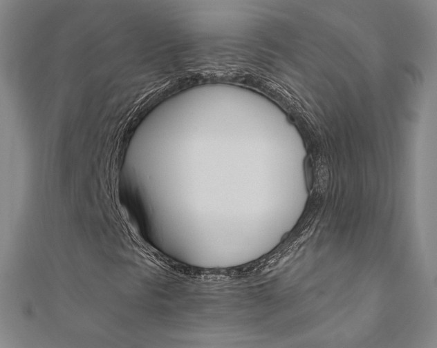 X0000110971297200906191102
