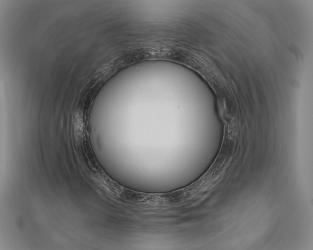 X0000110971298200906191102