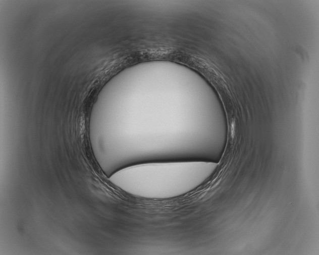 X0000110971299200906191102