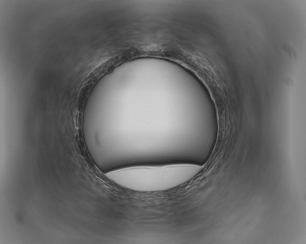 X0000110971301200906191102
