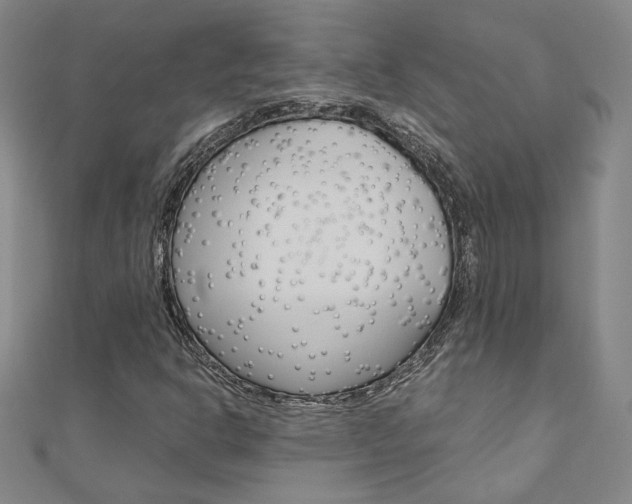 X0000110971302200906191102