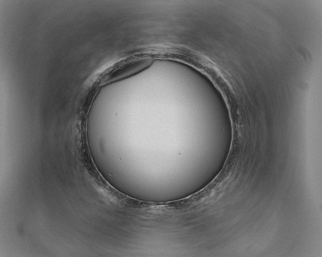 X0000110971304200906191102