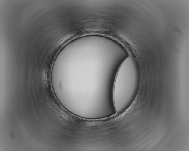 X0000110971305200906191102