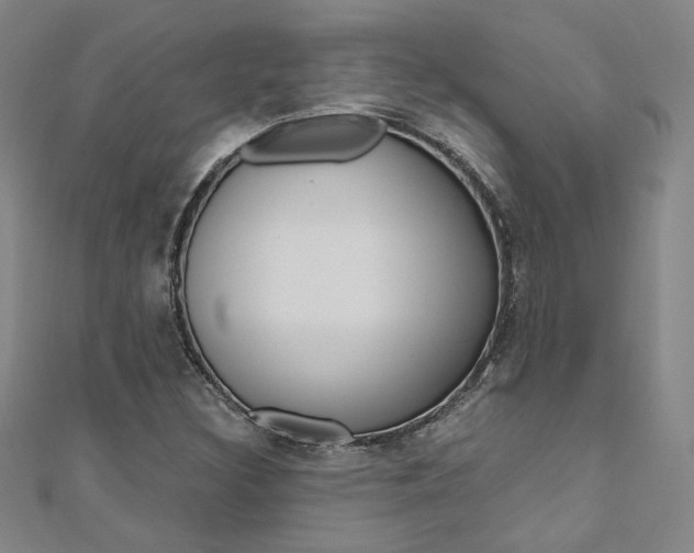 X0000110971308200906191102