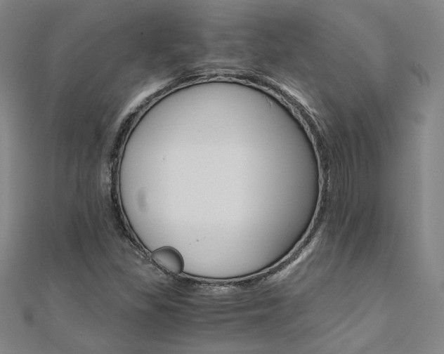 X0000110971309200906191102