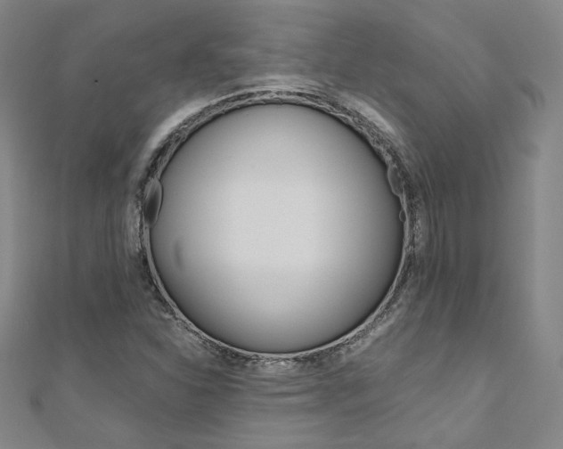 X0000110971310200906191102