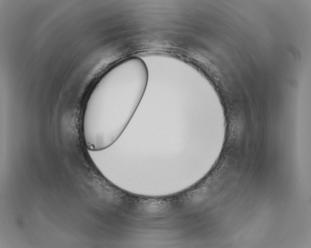 X0000110971314200906191102