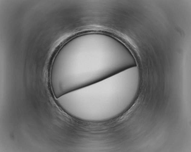 X0000110971318200906191102