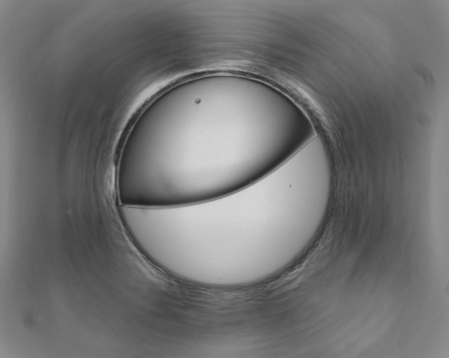 X0000110971324200906191103