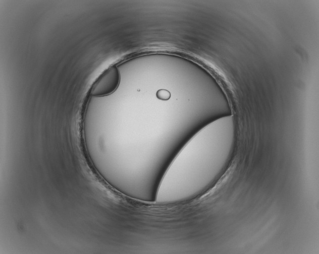 X0000110971325200906191103