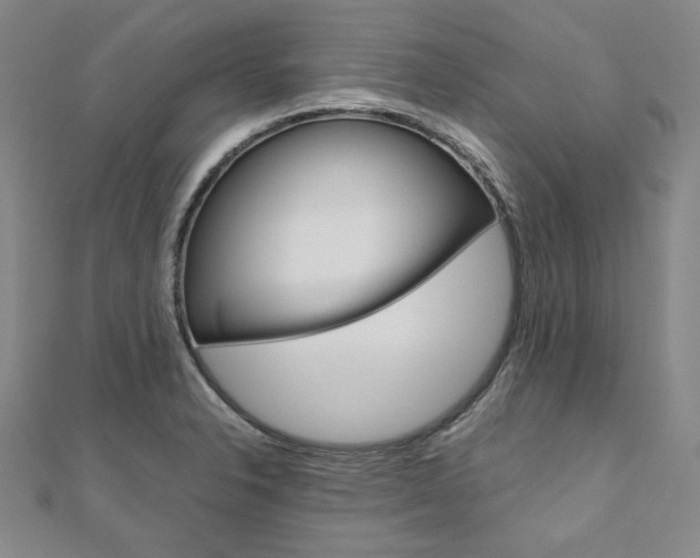 X0000110971326200906191103