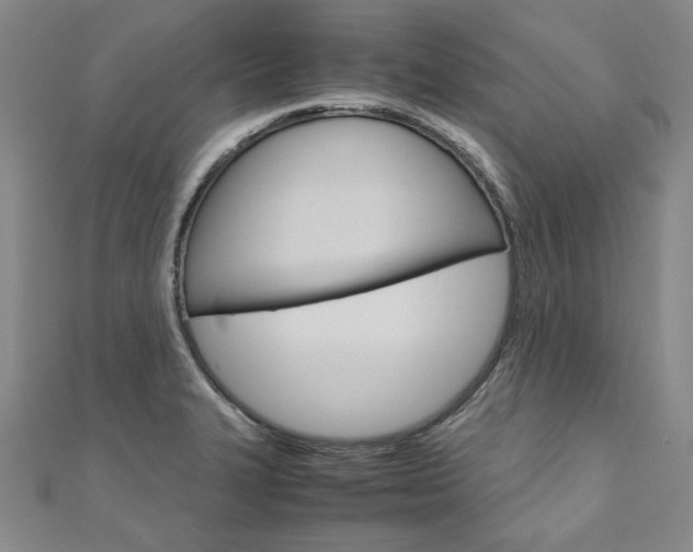 X0000110971327200906191103