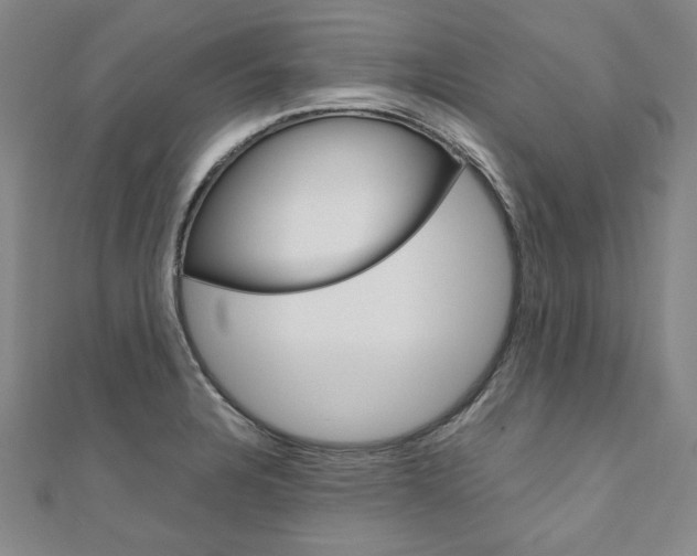 X0000110971328200906191103