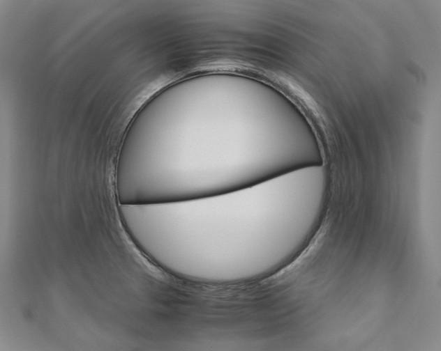 X0000110971329200906191103