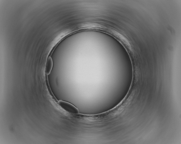 X0000110971330200906191103
