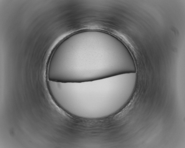X0000110971331200906191103