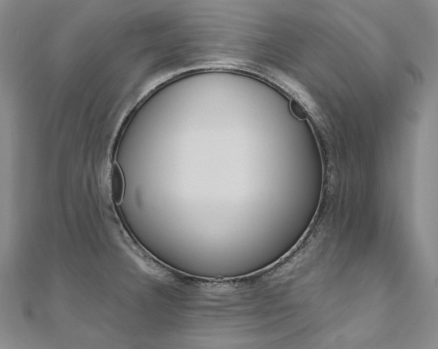 X0000110971332200906191103