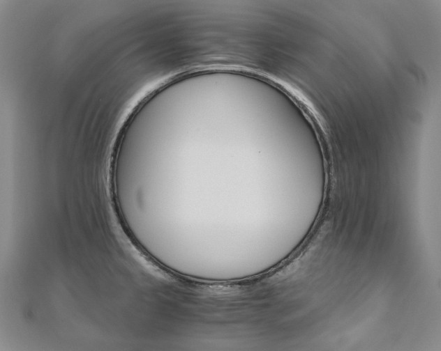 X0000110971333200906191103