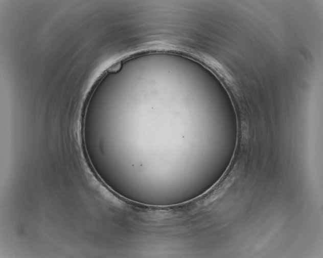 X0000110971334200906191103
