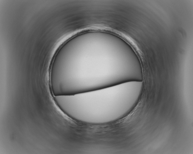 X0000110971335200906191103