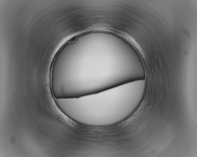 X0000110971339200906191103