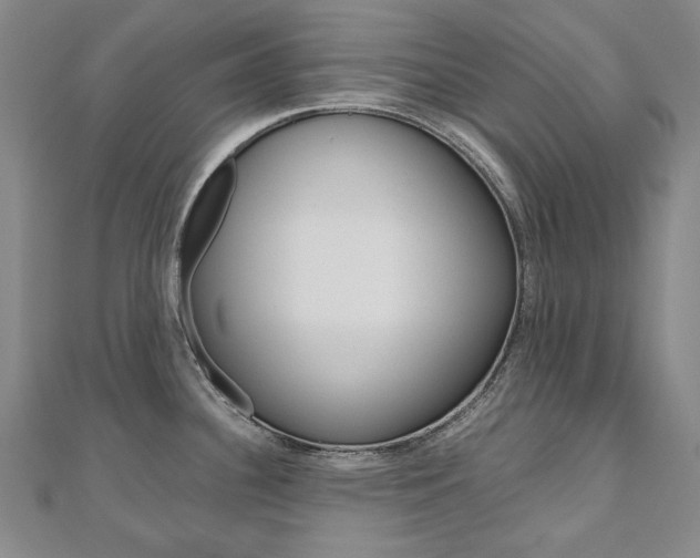 X0000110971340200906191103