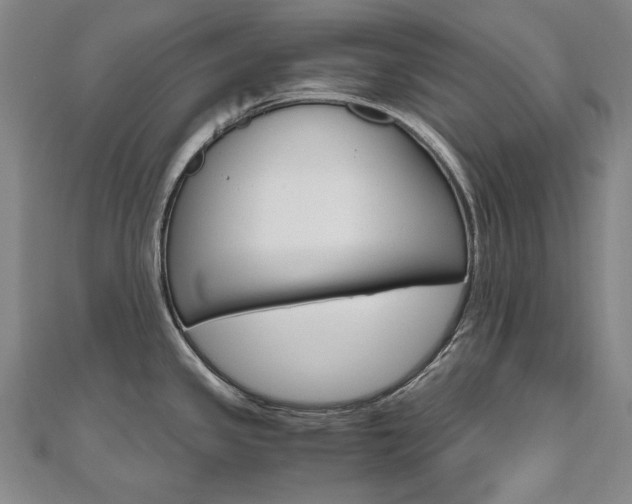 X0000110971341200906191103
