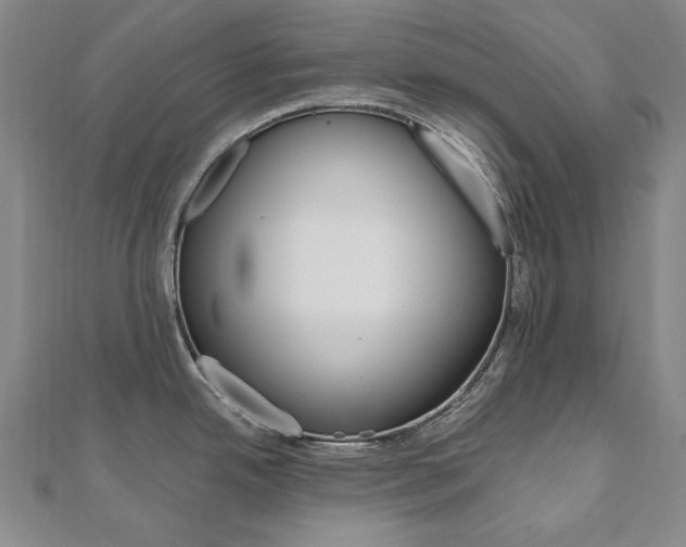 X0000110971342200906191103