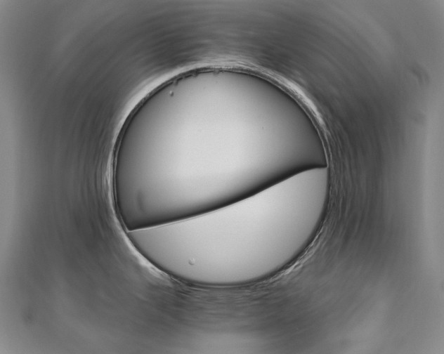 X0000110971343200906191103