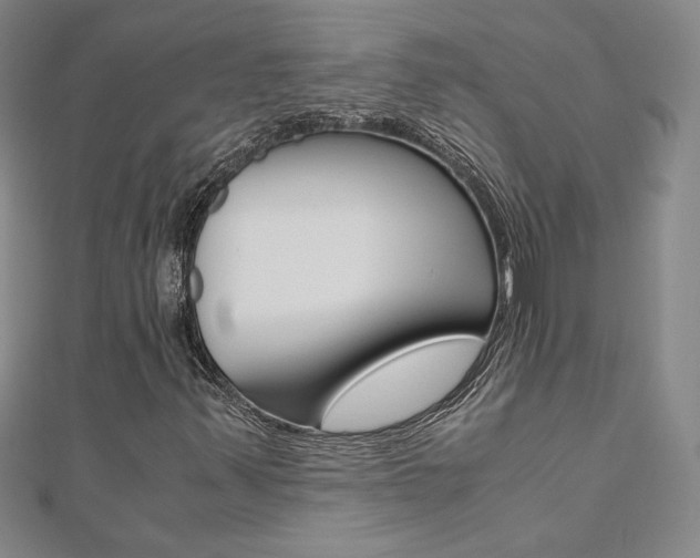 X0000110971347200906191102
