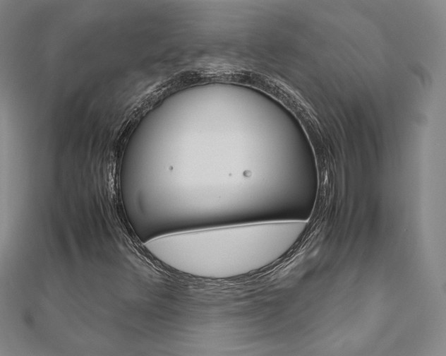 X0000110971348200906191102