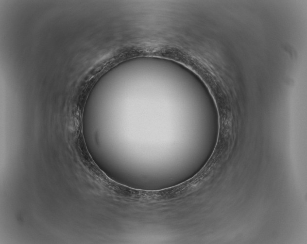 X0000110971349200906191102