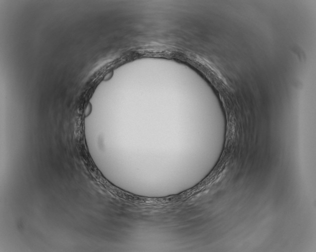 X0000110971350200906191102