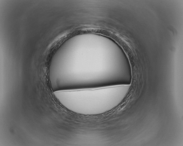 X0000110971351200906191102