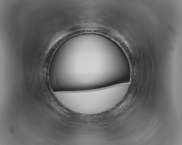 X0000110971352200906191102