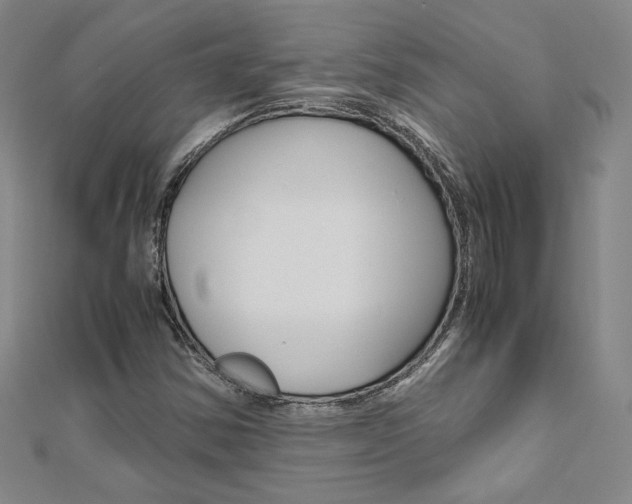 X0000110971354200906191102