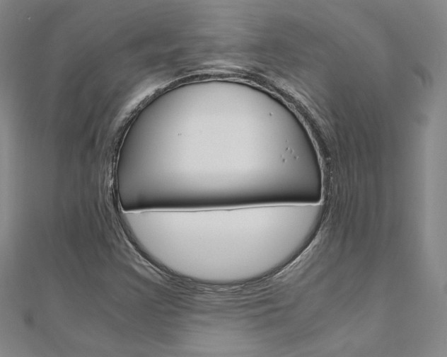 X0000110971355200906191102