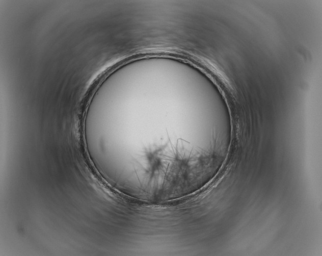 X0000110971356200906191102