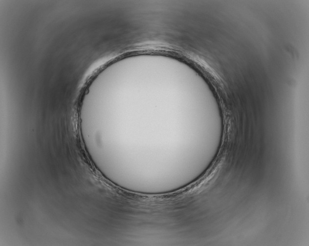X0000110971358200906191102