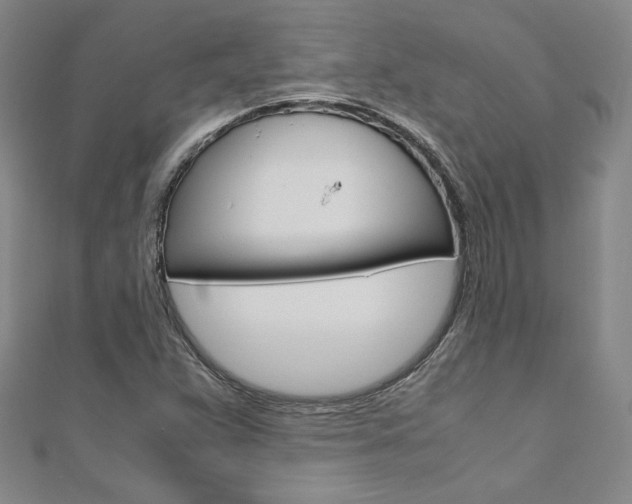 X0000110971359200906191102